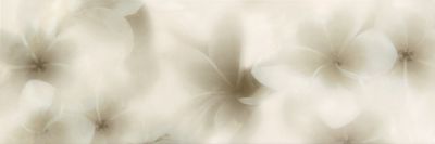  Silk Seda blanco 20х60 декор от PLAZA