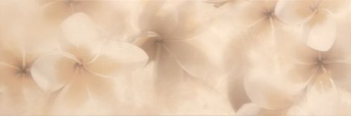  Silk Seda beige 20х60 декор от PLAZA