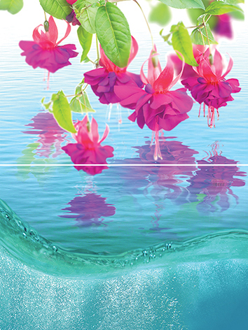 Плитка P2-1 Ocean flowers P2-1D240 Панно из 2-х плиток 30х40 от МУЗА-КЕРАМИКА