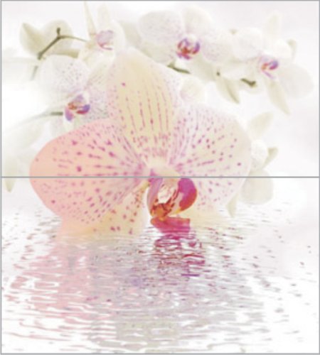 Плитка Dec Orchid Panno (панно из 2-х шт) КПН16Orchid 50х45 от CERADIM