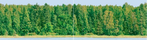 Плитка Dec Forest Panno (панно из 2-х шт) КПН16Forest 25х90 от CERADIM