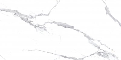 Керамогранит Calacatta Splendid Silver Керамогранит белый 60х120 Полированный от CERADIM