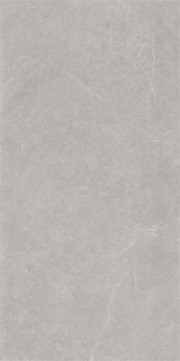 Керамогранит Ройс 231 Сильвер 60х120 керамогранит от EUROTILE