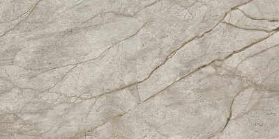  Плитка Эмпаир Сильвер Рут 2-ой сорт 60x120 (1,44 кв.м.) от ATLAS CONCORDE RUSSIA