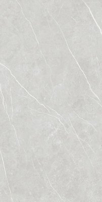  Керамогранит ELITE SILVER (6mm) (матовая) от TAU