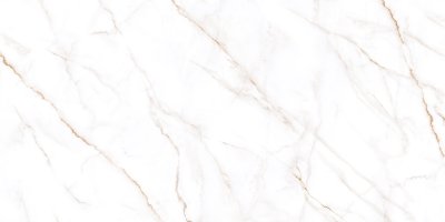 Керамогранит Нео Калакатта / Neo Calacatta GFU60120NCL04R от ALMA CERAMICA