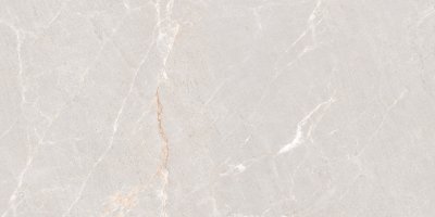 Керамогранит Concept Persian Grey Matt 120х60 керамогранит от NEODOM