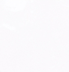 20567 Octagon Taco Blanco Brillo 4.6x4.6 вставка от EQUIPE