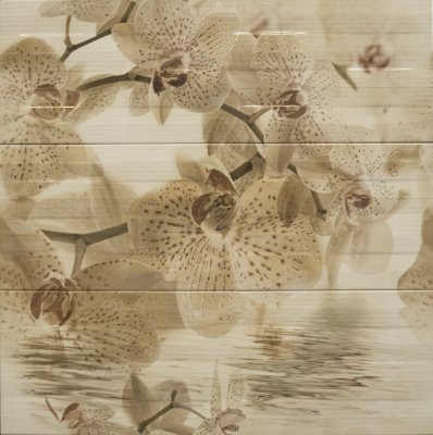  Paris Composicion Orquidea Beige 75х75 от 