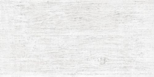  Wood White WT9WOD00 24,9x50 стена от ALTACERA