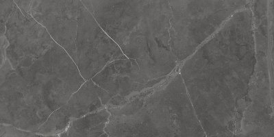  Плитка Artceramic Berrys Graffite 60x120 High Gloss (1,44 кв.м.) от ART CERAMIC