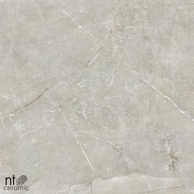  Керамогранит NTT9022 от NT CERAMIC