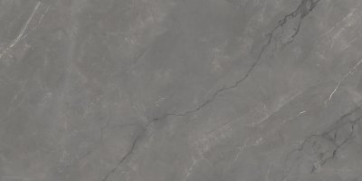  Керамогранит ASTONIA Grey Glossy Golden Line 60x120 от INFINITY CERAMICS