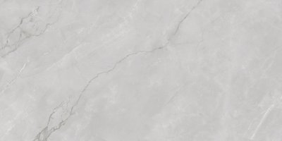  Керамогранит ASTONIA Silver Glossy Silver Line 60x120 от INFINITY CERAMICS