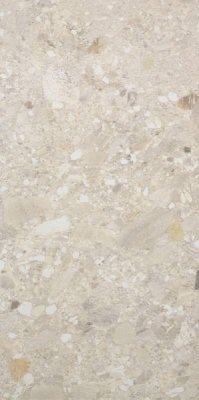  Ceppo di Gres Avorio Rett 60х120 от SERENISSIMA