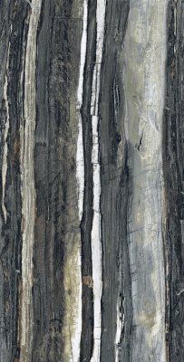 Керамогранит Brazzilian Black 60x120 керамогранит от ARCADIA CERAMICA