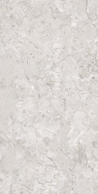 Керамогранит Ss Elegance Grey 60x120 керамогранит от SERATONIA