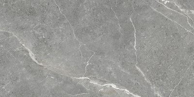 Керамогранит Титаниум серый / Titanium Gris GP60120TIA05M от Artkera Group