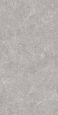 Керамогранит Oviedo Gris 60x120 керамогранит от ARCADIA CERAMICA