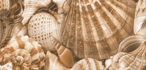  Sea Breeze Shells Е11431 30x60 декор от GOLDEN TILE