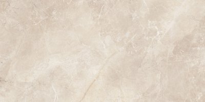 Керамогранит Апарель / Aparel GFU60120APL04L от ALMA CERAMICA