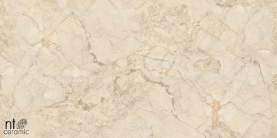  Керамогранит Ivory Endless от NT CERAMIC