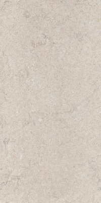  Дискавер Уайт 60x120 рет от ITALON