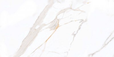 Керамогранит Regal Carara Polished 60x120 PR203 от PRIMAVERA