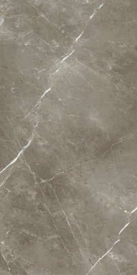  Стелларис Тусканиа Грэй 60x120 рет от ITALON