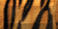 Плитка Africa Бордюр рельефный br1020D210-1 20х10 от CERAMICA CLASSIC