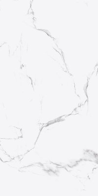 Керамическая плитка 60x120 BRUNT WHITE GLOSSY (ППх) от BLUEZONE