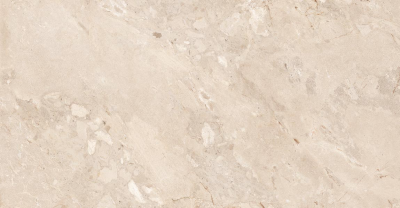  Element Castona Tan 60х120 от 