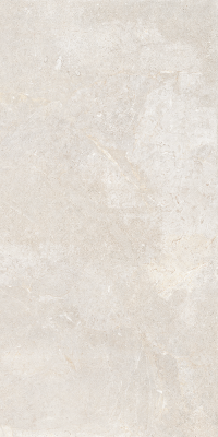  Керамическая плитка EVERWHITE RET(P) 60X120 от CERCOM