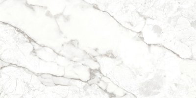  Breccia Bianco 60х120 от 
