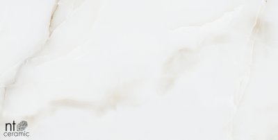  Керамогранит Onyx Majestic от NT CERAMIC