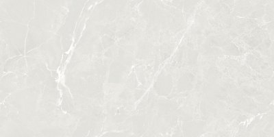 Керамогранит Мирабэль светло-серый / Mirabel light grey 60120MIB05P от Artkera Group