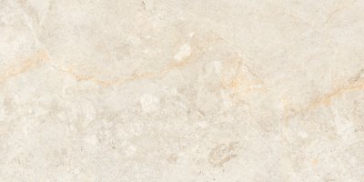  Керамогранит EDIMEX Ivory Drab 60x120 от INFINITY CERAMICS