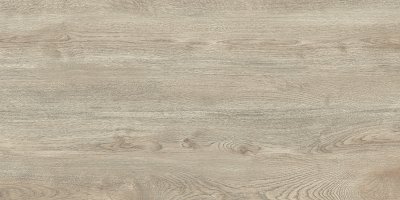Керамогранит Рива / Riva GFU60120RIV04R от ALMA CERAMICA