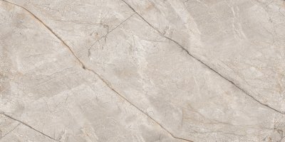 Керамогранит Marble Silver Stone Carving 60х120 керамогранит от NEODOM