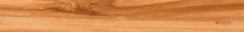  Brown Birch Wood 20x120 керамогранит от EMPERO