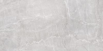 Керамогранит Терра серый / Terra Gray 60120TER15P от NEW TREND