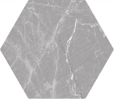 Cosmo Silver 20х24 от 