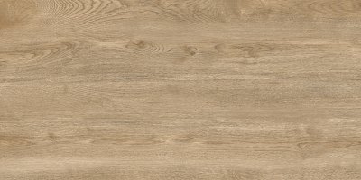 Керамогранит Волнат светлый / Walnut Light D120250M от DELACORA