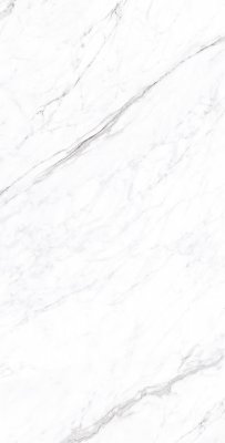 Керамогранит Coralina White Carving 60x120 керамогранит от ARCADIA CERAMICA