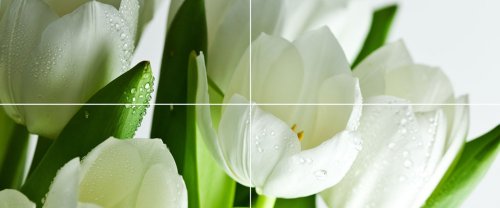  Arco Verde Tulipan Панно (из 4-х пл.) 50x120 от POLCOLORIT
