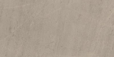  Вайз Сильвер Грей 60х120 Лап Рет./ Wise Silver Grey 120 Lap от 