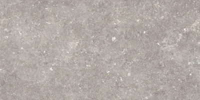 Керамогранит Dover Gris 60x120 Керамогранит от PAMESA