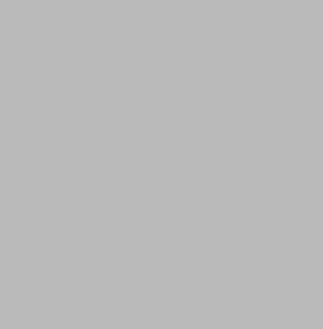  Garden Gris Liso 15х15 от 