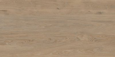 Керамогранит Forest / Форест Oak 60x120 / Оак Матовый 60x120 от Duna
