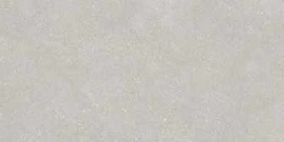  Pietra Light Grey 60х120 от 